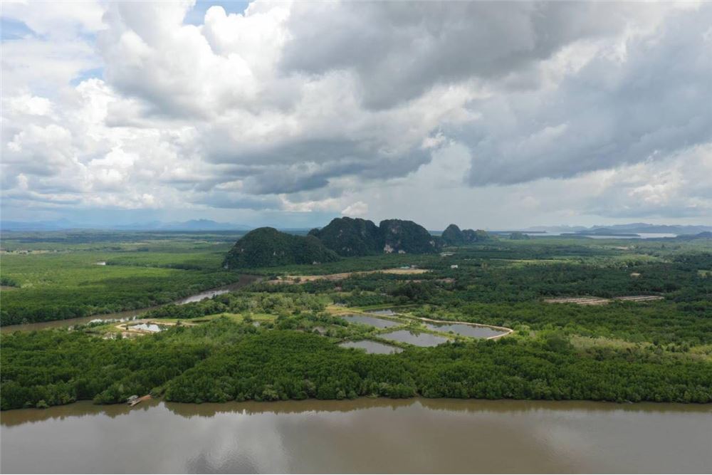ที่ดิเวลาสามปีที่ผ่านมา พื้นที่ดังกล่าวจึงเหมาะสมสำหรับการสร้างรีสอร์, ภาพที่ 4