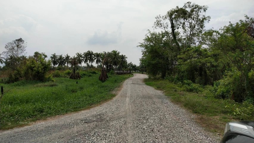 ขายที่ดิน ต. หนองจอก อ. หนองจอก จ. กรุงเทพมหานคร, ภาพที่ 4