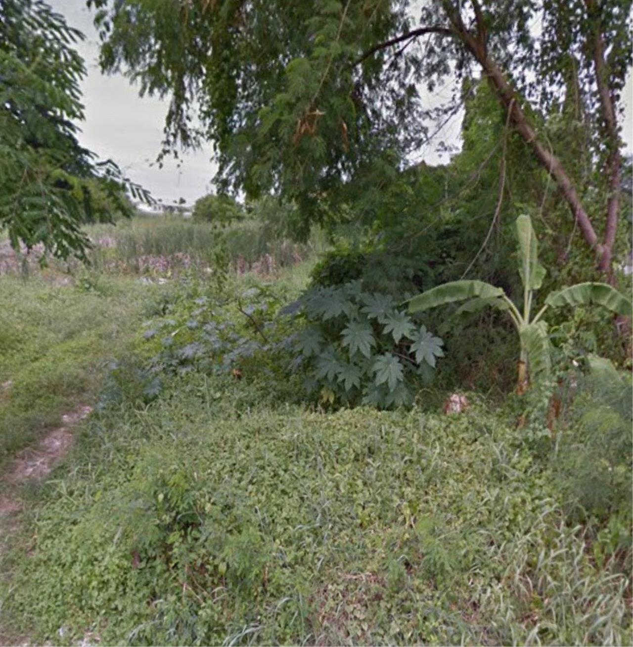 ขาย ที่ดิน แขวงท่าแร้ง เขตบางเขน กรุงเทพมหานคร, ภาพที่ 4