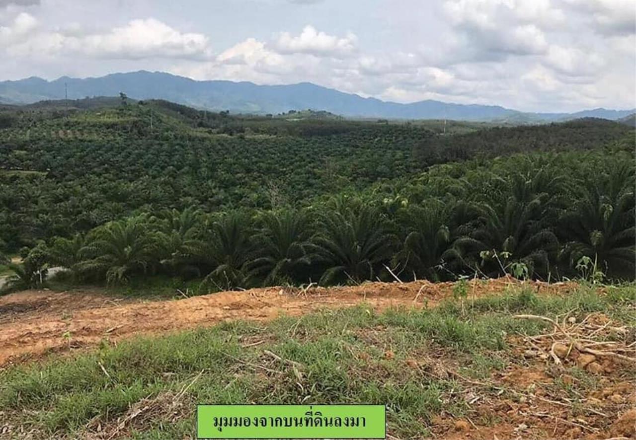 ขาย ที่ดิน ตำบลทุ่งมะพร้าว อำเภอท้ายเหมือง จังหวัดพังงา, ภาพที่ 4