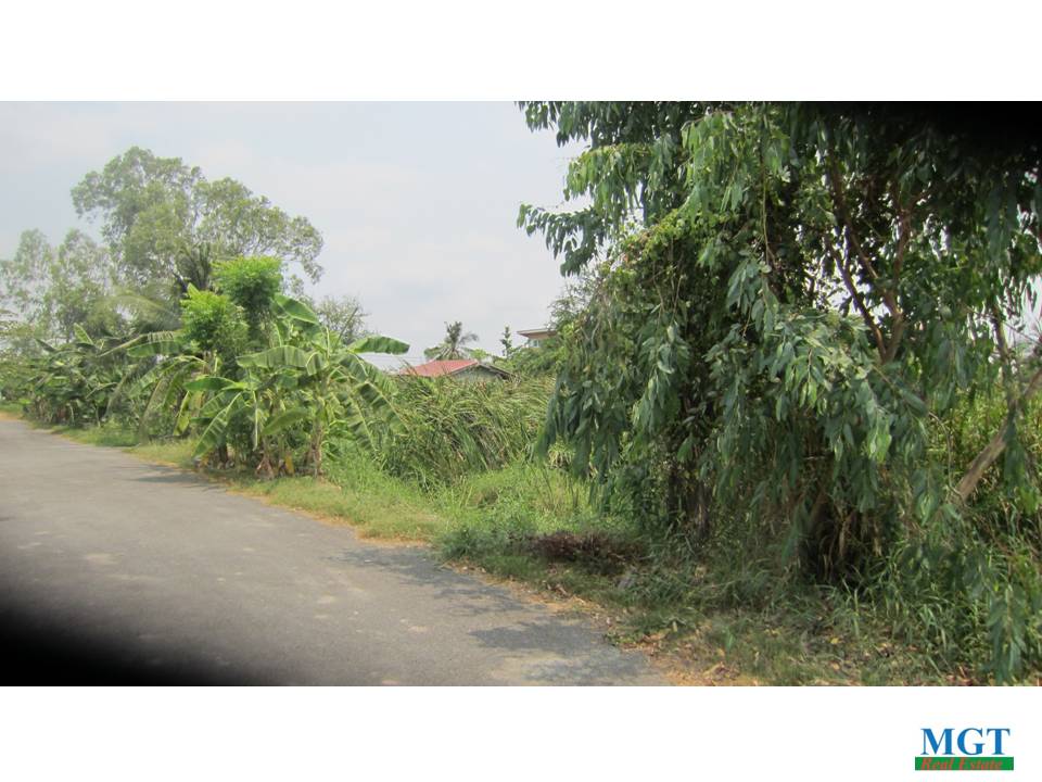 ขายที่ดิน บรมราชชนนี ซอย 78 บางระมาด · ตลิ่งชัน · กรุงเทพมหานคร , ภาพที่ 4