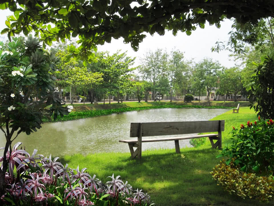 ทิพภิรมย์ - บรรยากาศ - 3