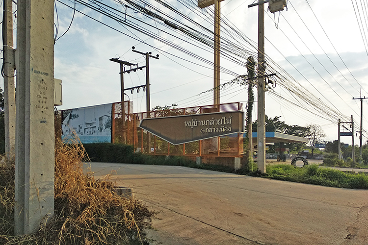 กล้วยไม้ แอท กลางเมือง - บรรยากาศ - 3