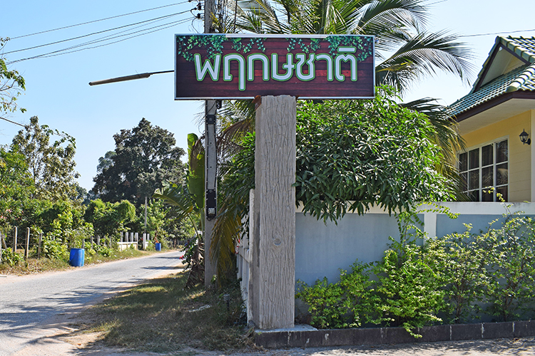 บ้านพฤกษชาติ แวงน่าง - บรรยากาศ - 3