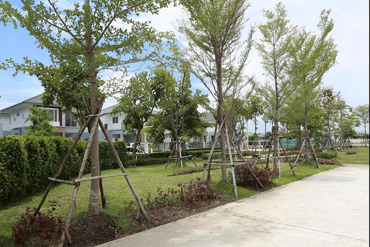 เทรนดี้ ธารา บางใหญ่ - บรรยากาศ - 3