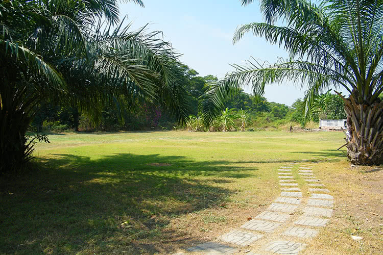 พฤกษ์สราญ ลำลูกกา คลอง 9 - บรรยากาศ - 3