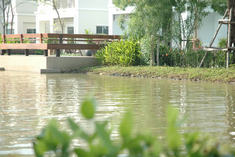 ขาย บ้าน ในโครงการ บ้านพร้อมพัฒน์ รามอินทรา แขวงสามวาตะวันตก, ภาพที่ 4