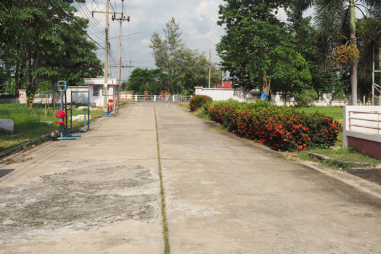 บ้านสวนศรีปทุม - บรรยากาศ - 3