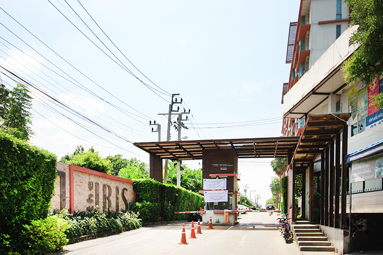 ให้เช่าด่วน The Iris Rama 9-Srinakarin ราคาสวย พร้อมเข้าอยู่, ภาพที่ 4