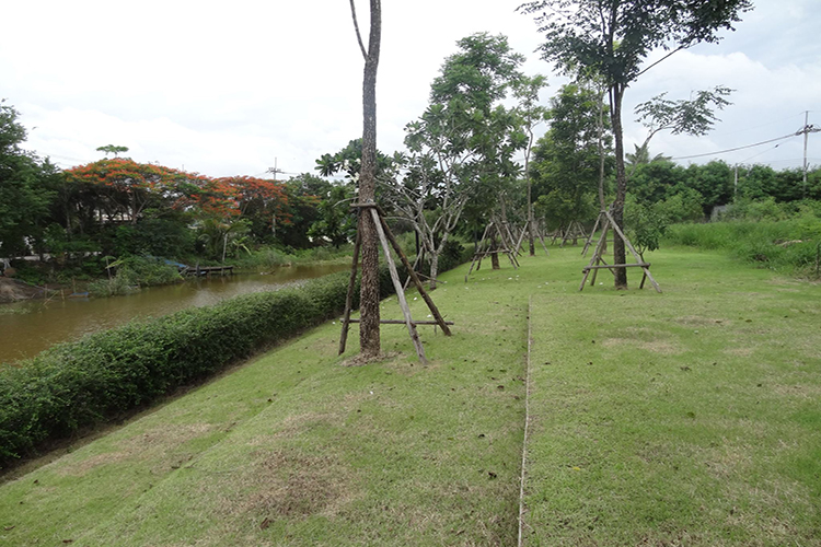 บ้านอัจฉรา - บรรยากาศ - 3