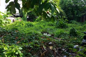38382 - Rama 3 road Land for sale area 1424 Sqm