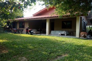 ให้เช่าบ้านเดี่ยวชั้นเดียว 300 ตรว ตั้งอยู่เขตเมืองพัทยา  Pattaya Single house for rent 300 SQWAH หนองปลาไหล · บางละมุง · ชลบุรี 