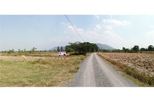 ขายที่ดิน ศรีบุญเรือง หนองบัวลำภู