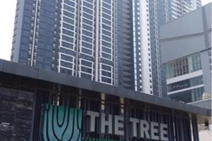 ให้เช่าคอนโด ในโครงการ The Tree Interchange บางซื่อ บางซื่อ กรุงเทพมหานคร