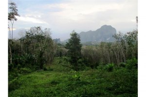 3 Rai and 67 TW 5068 sqm with sea view and mountain view less than 2 km from the Krabi International School Land title d