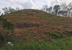 ขาย ที่ดิน ตำบลทุ่งมะพร้าว อำเภอท้ายเหมือง จังหวัดพังงา