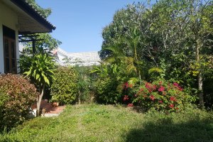 ให้เช่าบ้านเดี่ยวชั้นเดียว good area, great atmosphere - green views of rice fields at the back of the house. สันปูเลย · ดอยสะเก็ด · เชียงใหม่ 
