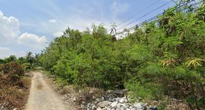 ขาย ที่ดิน แขวงบางแคเหนือ เขตบางแค กรุงเทพมหานคร