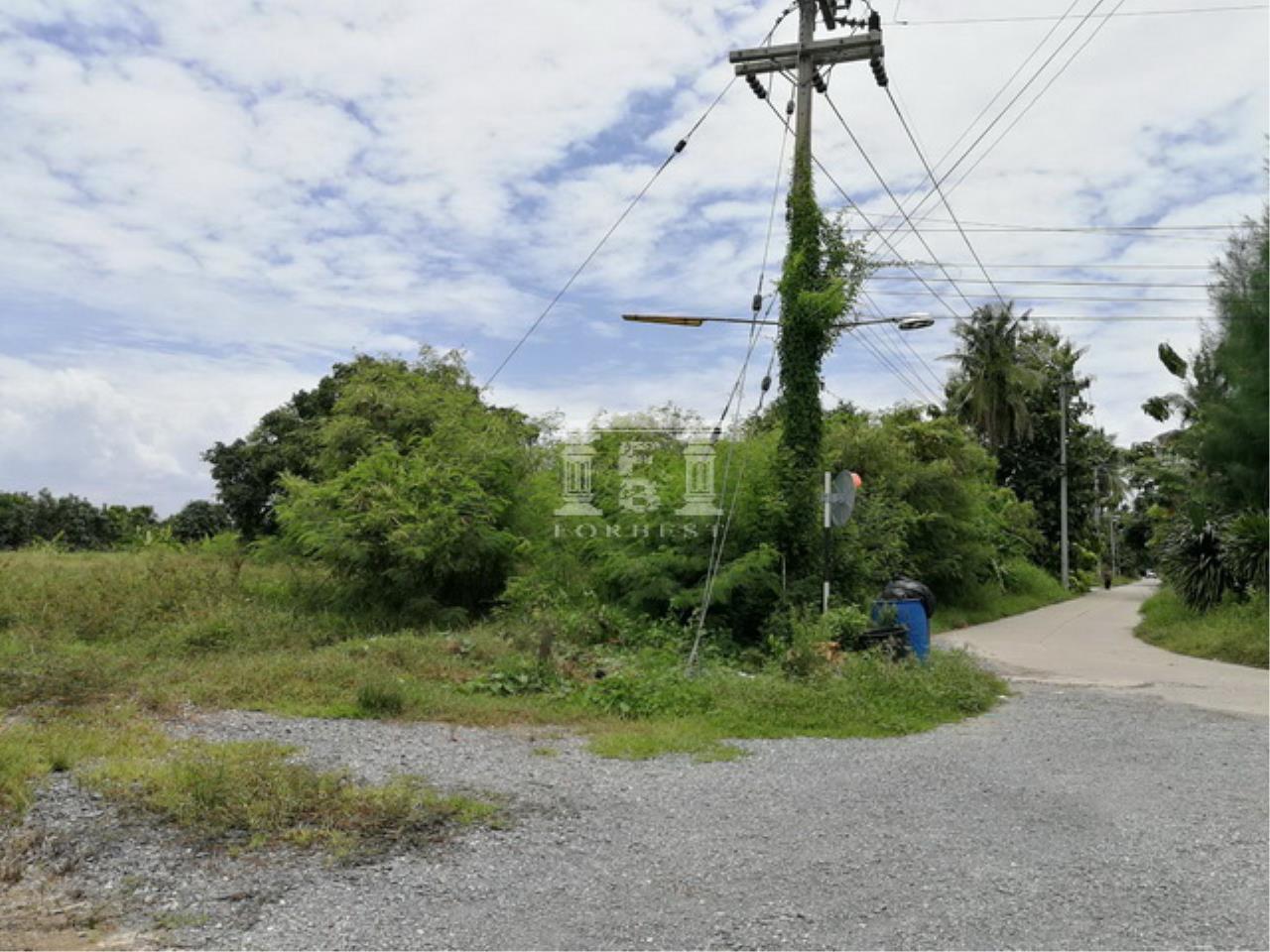40193 - Central Salaya Land for sale Plot size 55 acres, ภาพที่ 4