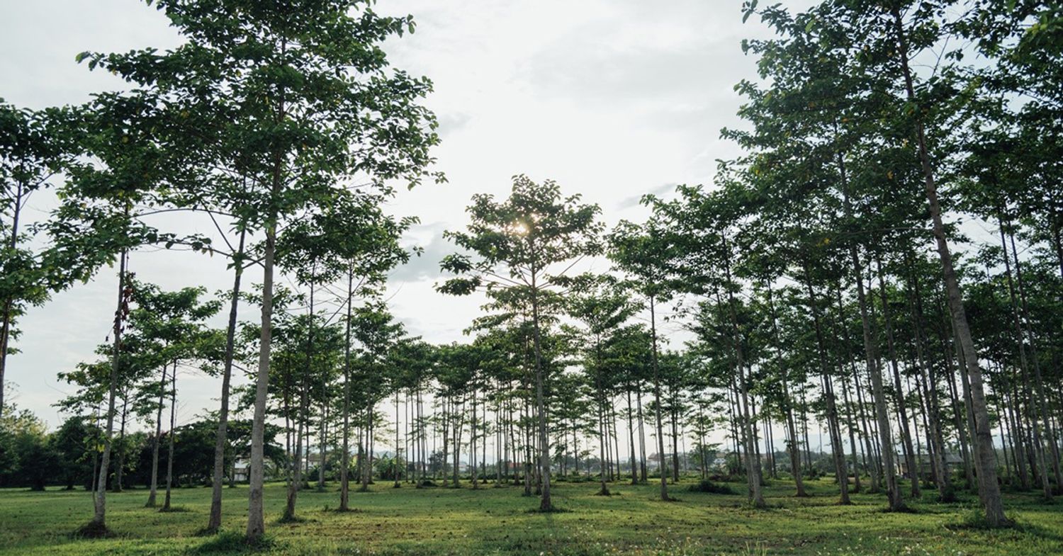 สุวรรณรายา  อิลิแกนซ์ - บรรยากาศ - 3