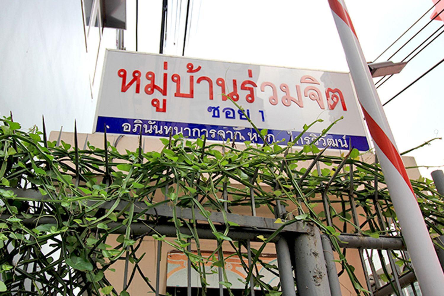 ภาพหลัก -  บ้านร่วมจิตร